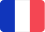 France flag